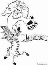Madagascar Coloring Pages Marty Alex Printable Zebra Colouring Lion Fun Having Kids Print Cartoon Color Coloriage Animals Characters Shoulders Related sketch template