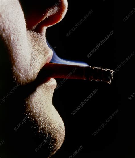 close up of a man smoking stock image m370 0001 science photo library