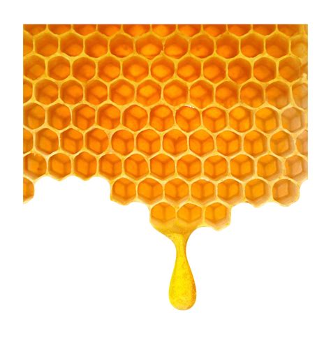 honeycomb clipart transparent picture  honeycomb clipart