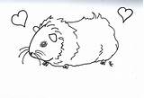 Pig Guinea Coloring Pages Print Color Kids Ginnie Printable Cute Number Animals Adult Realistic Popular Template Templates sketch template
