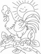 Rooster Coloring Pages Colouring Crowing Kids Roosters Open Printable Online Trick Mousie Treat sketch template