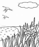 Hunting Coloring Pages Duck Printable Kids sketch template