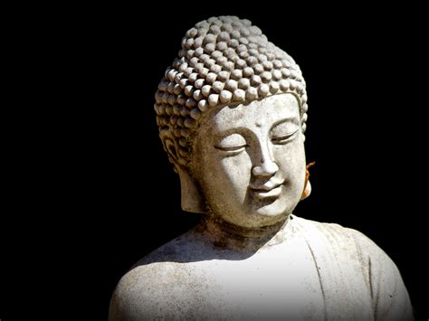 amazing buddha zen statue  image