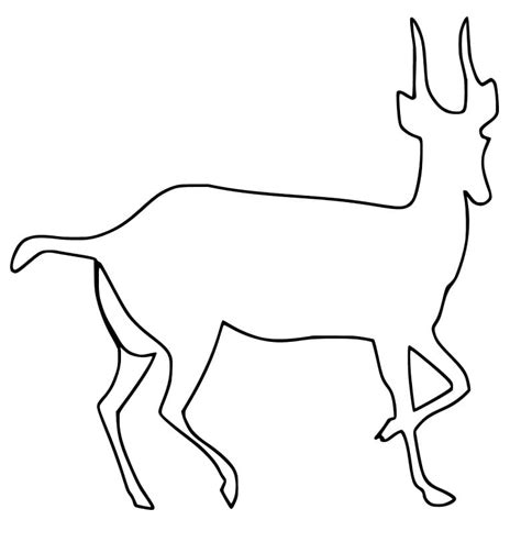 gazelle outline coloring page  printable coloring pages  kids