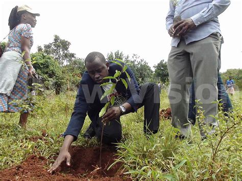 government partners  ggoli parish  restore forests  vision