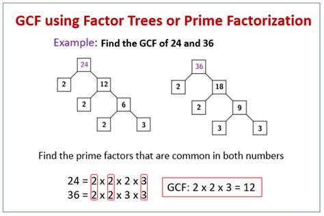 find greatest common factor examples solutions  worksheets