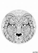 Mandala Mandalas Tigre Tiger Coloriage Tete Adultos Coloriages Tête Rabbit Malbuch Erwachsene Wolf Adultes Composé Motifs Créé Superbe Justcolor Sheets sketch template