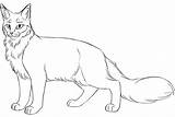 Cat Base Warrior Cats Deviantart Lineart Transparent Line Clipart Yellowfang Longhaired Challange Img14 Lines Webstockreview Foreign Semi sketch template