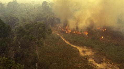 amazon rainforest fires plunge brazil  afternoon darkness  advertiser