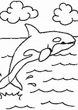 Coloring Pages Sea Shamu Killer Whale Seahawks Seattle Logo Easy Drawing Color Printable Water Cliparts Getdrawings Orca Library Clipart Getcolorings sketch template