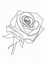 Coloring Rose Compass Getdrawings sketch template