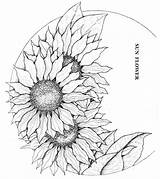 Sunflower Tooling Sonnenblume Zeichnen Pyrography Sonnenblumen Naser Piran sketch template