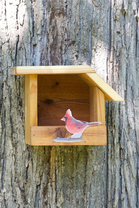 northern cardinal cedar bird house etsy