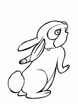 Rabbit Coloring Pages Printable Color Getcolorings Peter sketch template