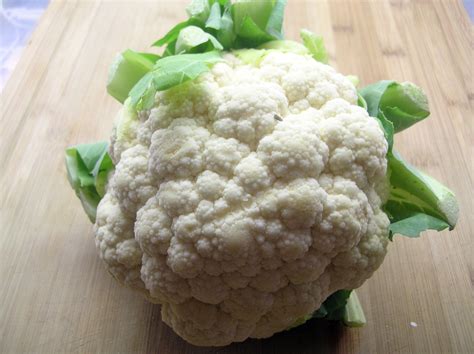 cauliflower gratin avada lifestyle