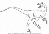 Troodon Draw Drawing Dinosaurs Step Tutorials Drawingtutorials101 sketch template