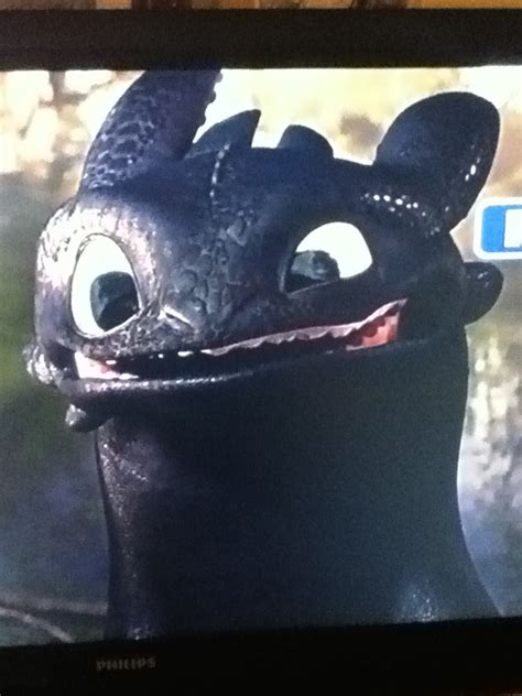 toothless   train  dragon funny faces toothless