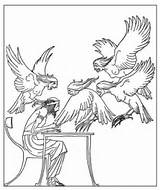 Harpies Greek Arpie Fineo Maid Phineus Stampare sketch template