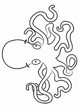 Tintenfisch Oktopus Letzte sketch template