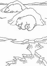 Nap Polar Bears Coloring sketch template
