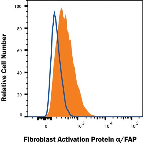 fibroblast activation protein alpha fap antibodies novus biologicals