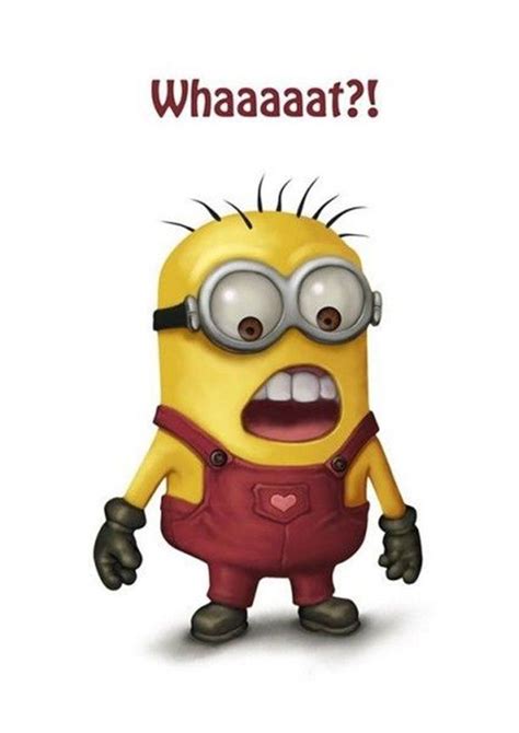 37 Funny Quotes And Sayings About Funny Memes Minion