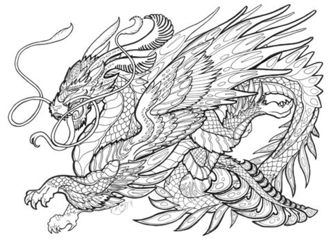 dragon coloring pages  adults  printable wbm