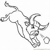 Bull Coloring Pages Angry Running Printable Color Drawing Print Animals Online Clipartmag Getdrawings Getcolorings sketch template