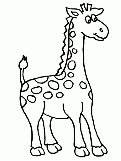 cute giraffe coloring pages coloring home
