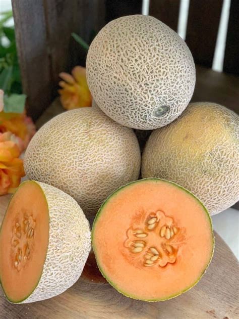 Is Cantaloupe Good For You Easy Grilled Cantaloupe Recipe