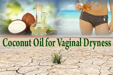 how to use coconut oil for vaginal dryness effectively wikiyeah