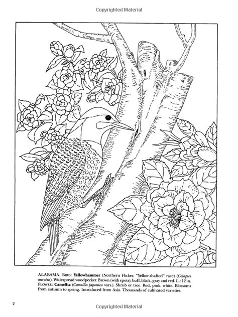 state birds  flowers coloring book dover nature coloring book