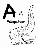 Coloring Pages Mcleod Bethune Mary Alligator Letter Template sketch template
