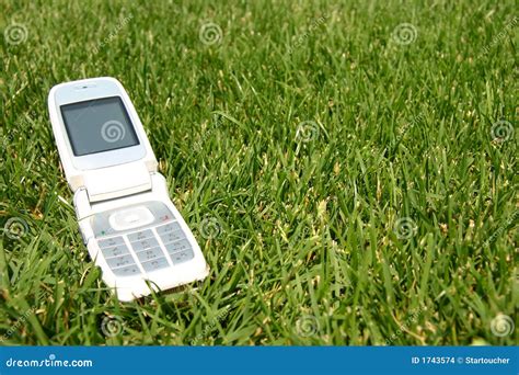 mobile cell phone  grass  stock photo image  data paddock