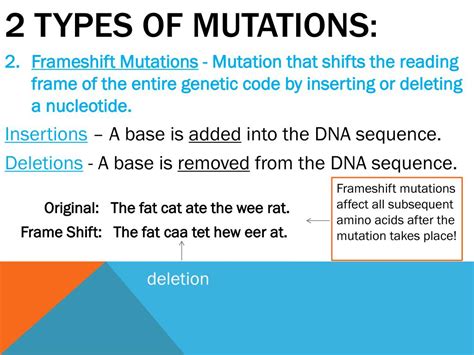 ppt gene expression and mutations in dna powerpoint presentation free
