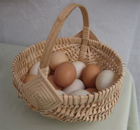 egg basket weaving class april  carnation wa cascadia forum