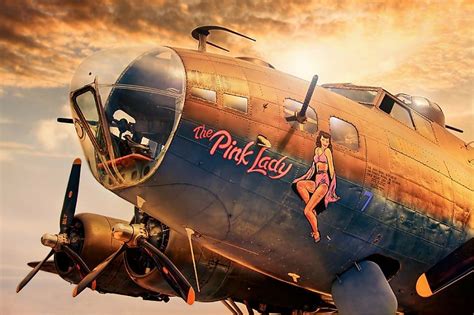 Pink Lady Aircraft Painting Aviation Art Airplane Art