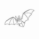 Eared Bat1 Bats Print1 sketch template