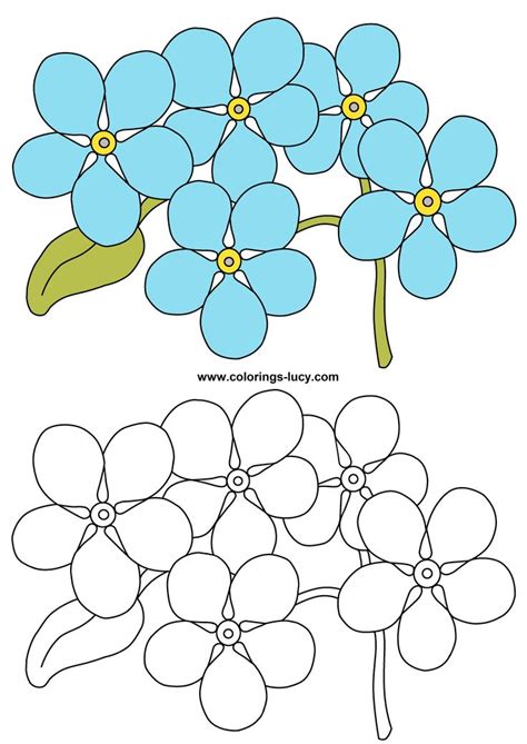 forget   kids rugs color coloring pages