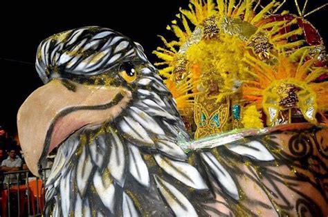 aguia dourada abre  desfile das escolas de samba  grupo   carnaval  em natal tribuna