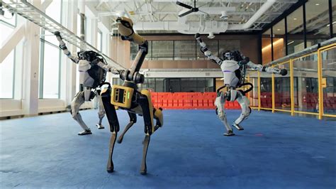 cave   push  dance robotica fade cooperate regiment