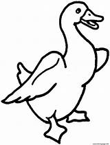 Coloring Printable Animal Goose Clipart Pages Duck Print Color Baby Pic Library Birds Clipartmag Popular Book Comments sketch template
