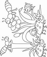 Coloring Pages Insect Kids Bug Preschool Printable Bugs Cute Insects Letter Bestcoloringpages Color Garden Drawing Thematic Each Getdrawings Getcolorings Birds sketch template