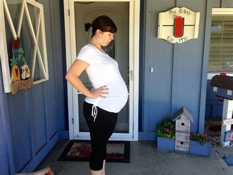 24 weeks pregnant with twins the maternity gallery