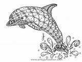 Delfin Dolphin Zentangle Ausmalbilder Erwachsene Dolphins Zentangles Pesquisa Billedresultat Depuis sketch template