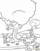 Forest Coloring Pages Spring Rabbits Printable Drawing Color Getcolorings sketch template
