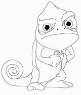 Coloring Pascal Pages Tangled Chameleon Getcolorings Getdrawings Color sketch template