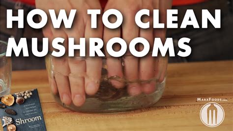 clean mushrooms technique video youtube
