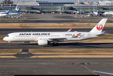 jaxj japan airlines airbus   photo  gerrit griem id