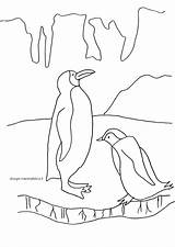 Colorare Disegno Nord Pinguini Poli Mammafelice Paesaggi Stampa sketch template